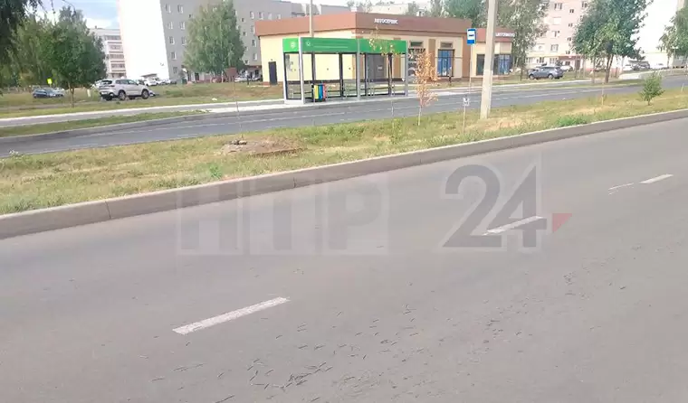 В Нижнекамске на дороге в районе шиномонтажа разбросали гвозди