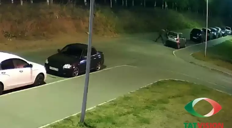 В Нижнекамске на видео попали два парня, угоняющие машину