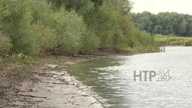 Судмедэксперты устанавливают причину смерти найденного в реке нижнекамца