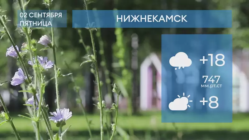 Погода на май 2024 нижнекамск. Нижнекамск климат. Нижнекамск Лемаева 3 сентября 2022. Погода 24 сентября 2022 г Нижнекамск. Погода на сентябрь 2022.