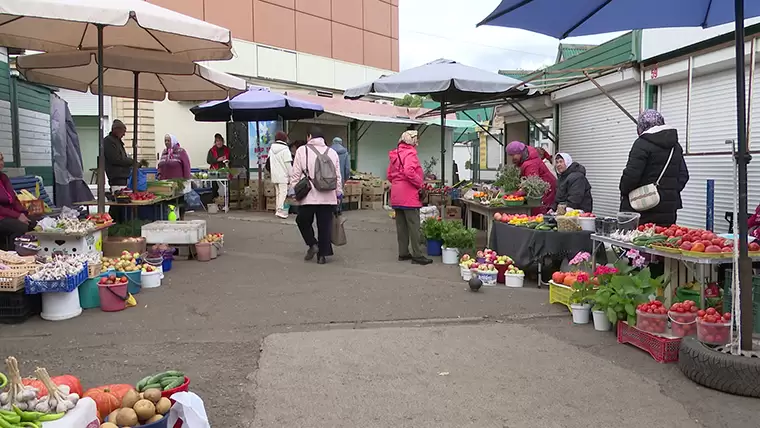 В Нижнекамске парковочные места около рынка заменят газоном и велодорожкой — торговцы против