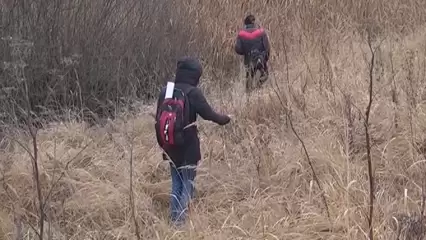 Ушедший три дня назад нижнекамец найден мертвым - НТР 24