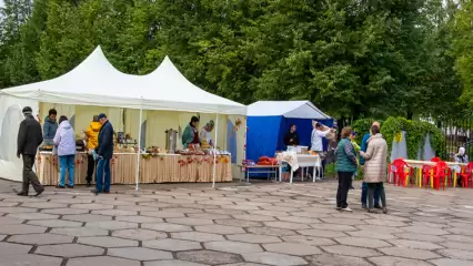 В Нижнекамске на День выборов организовали ярмарки и спортивные состязания