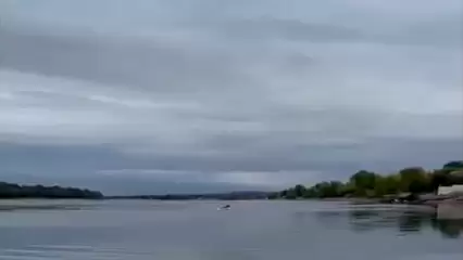 Рыбаки под Нижнекамском заметили купающегося лося