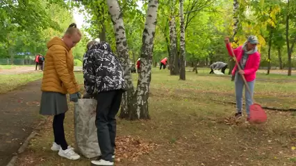 В Нижнекамске прошли общественные субботники, в ходе которых вывезли тонны листвы и веток - НТР 24