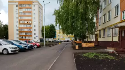 Жительница Нижнекамска поделилась своими впечатлениями о городе - НТР 24