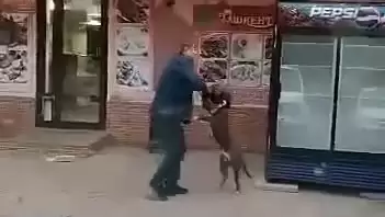 В Татарстане мужчина на глазах у прохожих задушил свою собаку, которая напала на него