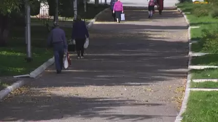 Нижнекамцев собирают на поиски пропавшей пенсионерки - НТР 24