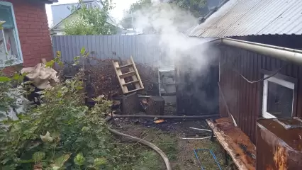 В садовом обществе под Нижнекамском огонь уничтожил баню и дровяник
