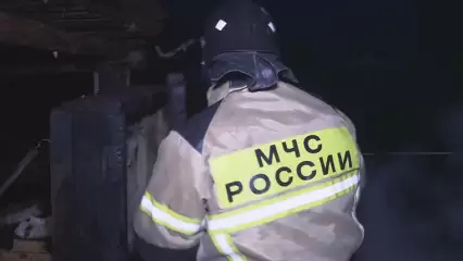 В ночном пожаре в Казани заживо сгорели котята