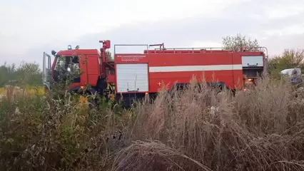 В Нижнекамском районе на поле сгорело 100 кв. метров травы