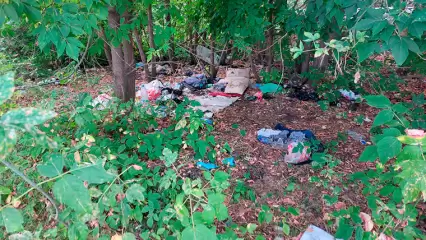 В Нижнекамске около заправки нашли труп мужчины - НТР 24