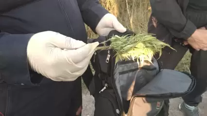Нижнекамские полицейские нашли у мужчины в рюкзаке 2 килограмма марихуаны