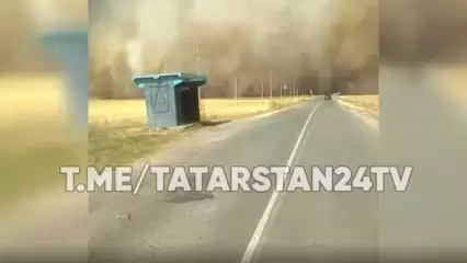 В Заинском районе Татарстана поле охватил крупный пожар