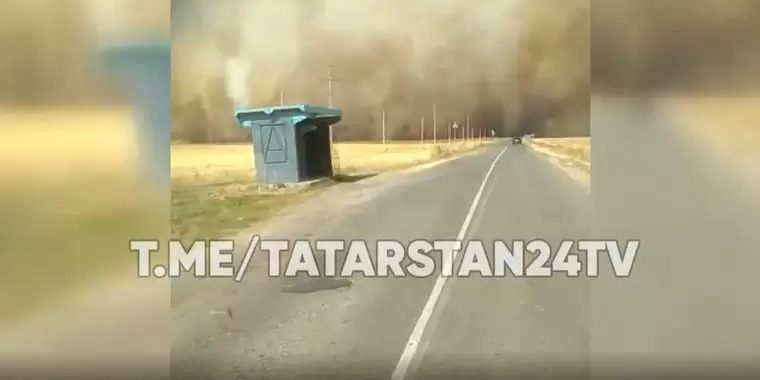 В Заинском районе Татарстана поле охватил крупный пожар