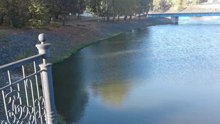 Татарстанцев насторожила пена на поверхности пруда в парке – на место выехали экологи