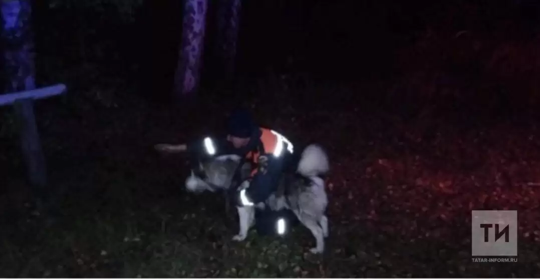 В Челнах спасатели нашли трёх потерявшихся в лесу женщин