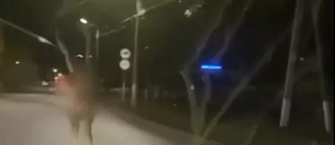 В Татарстане заметили голую женщину посреди дороги