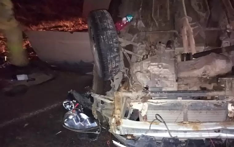 В Татарстане из-за вышедшего на дорогу лося погиб пассажир легковушки