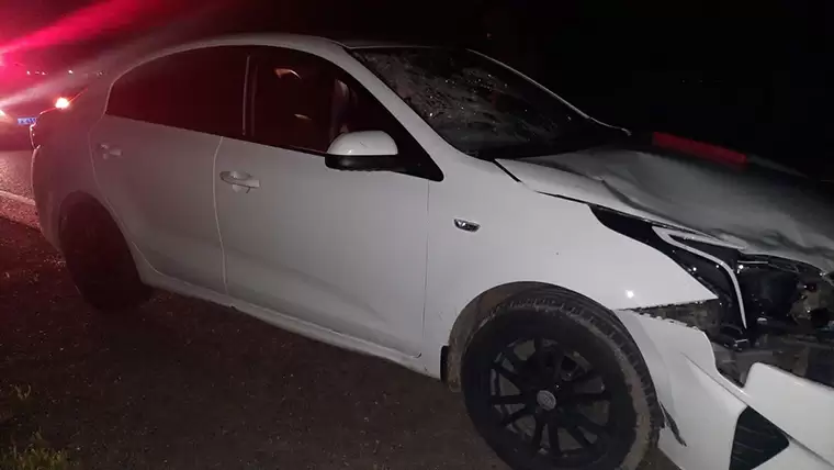 Ночью на трассе в Татарстане насмерть сбили пешехода