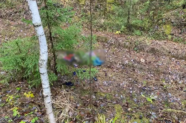 В Татарстане женщина ушла рано утром в лес за грибами и погибла