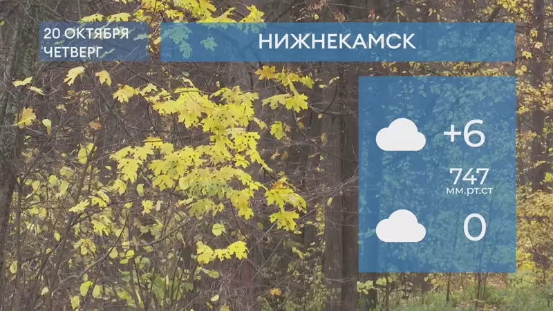Прогноз погоды в Нижнекамске на 20-е октября 2022 года