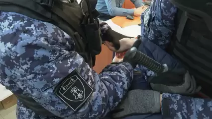 В Нижнекамске два подростка пытались ограбить торговый центр - НТР 24