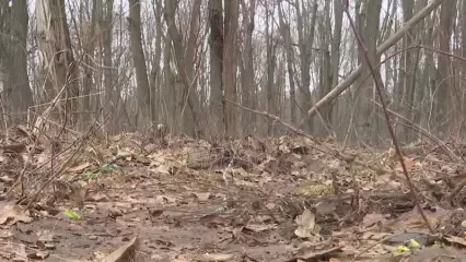 В Нижнекамске найдено тело, вероятно, пропавшего ранее человека - НТР 24