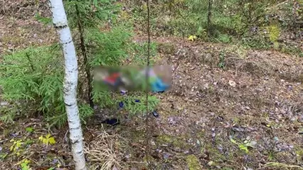 В Татарстане женщина ушла рано утром в лес за грибами и погибла