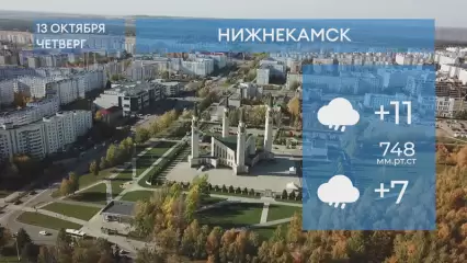 Прогноз погоды в Нижнекамске на 13-е октября 2022 года