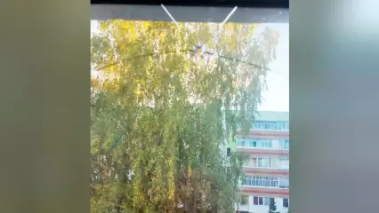 «Стрелял по окнам»: у жительницы Нижнекамска разбили окно в квартире - НТР 24