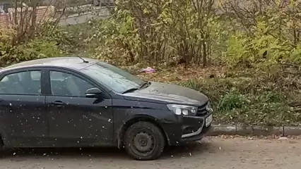В Татарстане выпал первый снег