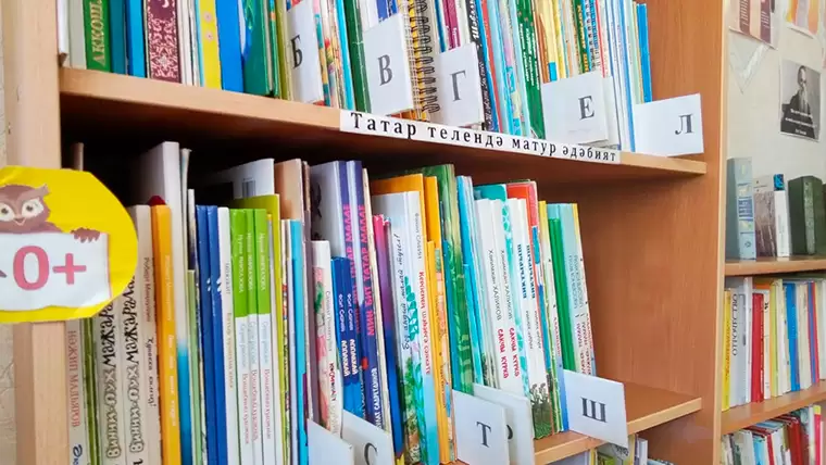 Детская библиотека из Нижнекамского района стала лучшей в Татарстане