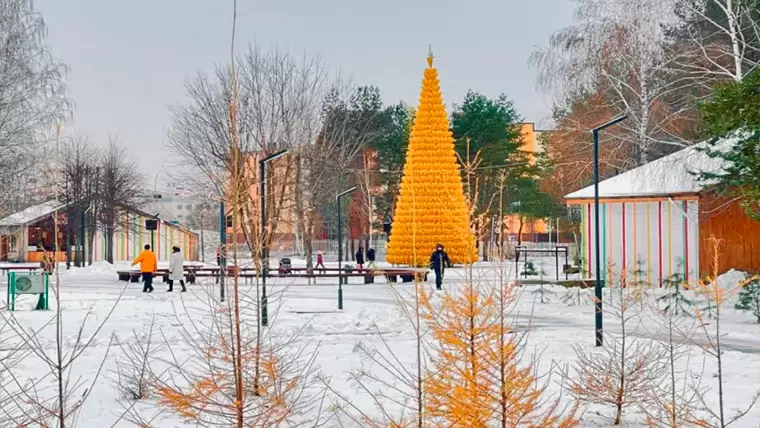 Нижнекамцы сравнили новогоднюю ёлку в парке «СемьЯ» с кукурузой