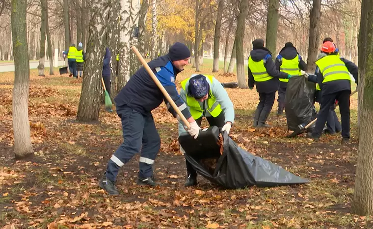 Сотрудники «Нижнекамскнефтехима» в ходе субботника очистили участок пр. Химиков от листвы и мусора