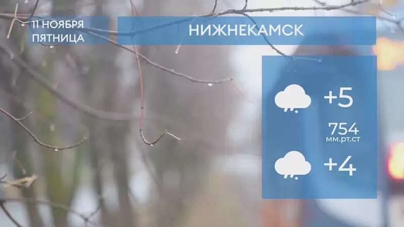 Прогноз погоды в Нижнекамске на 11-е ноября 2022 года