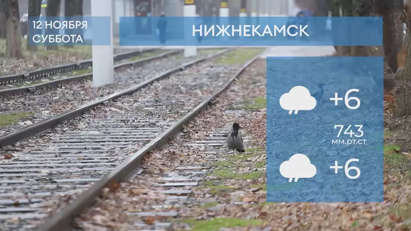 Прогноз погоды в Нижнекамске на 12-е ноября 2022 года