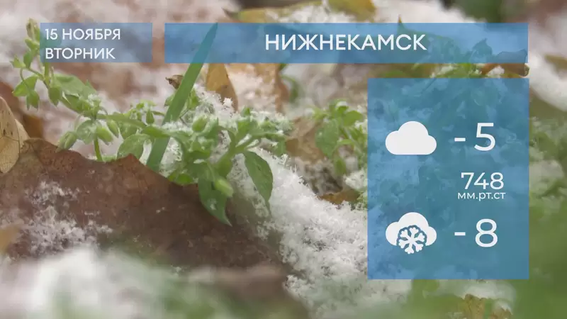 Прогноз погоды в Нижнекамске на 15-е ноября 2022 года
