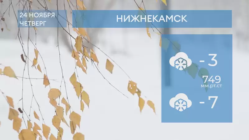 Прогноз погоды в Нижнекамске на 24-е ноября 2022 года