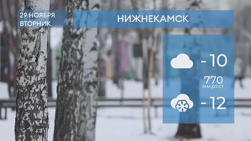Прогноз погоды в Нижнекамске на 29-е ноября 2022 года