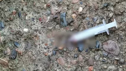 «Это просто ужас»: нижнекамка нашла под балконом жилого дома кучу использованных шприцев - НТР 24