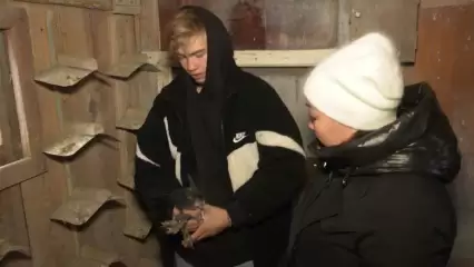 Подросток из Нижнекамска уже 9 лет разводит голубей - НТР 24