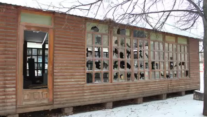 Бег по кругу - НТР 24