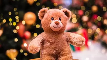 Бизнесмен из Нижнекамска пообещал подарить IPhone за информацию о воре, который украл медвежонка - НТР 24