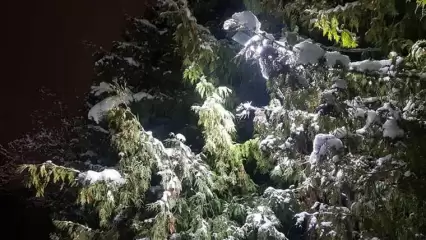 Ночью в Татарстане похолодает до 15 градусов мороза