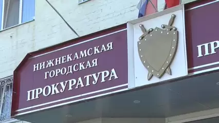 Прокурор Нижнекамска проведет прием граждан по вопросам соблюдения прав несовершеннолетних - НТР 24