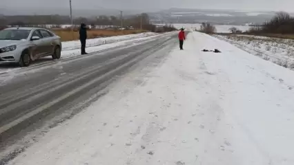 На трассе в Татарстане водитель насмерть сбил человека и скрылся с места ДТП