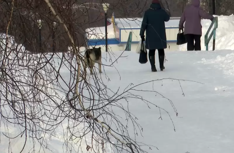 В Татарстане сильно испортится погода: надвигаются ледяные дожди и снегопады