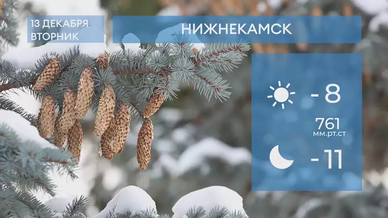 Прогноз погоды в Нижнекамске на 13-е декабря 2022 года
