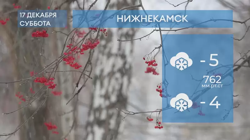 Прогноз погоды в Нижнекамске на 17-е декабря 2022 года